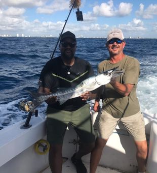 Pickhandle Barracuda in Fort Lauderdale, Florida